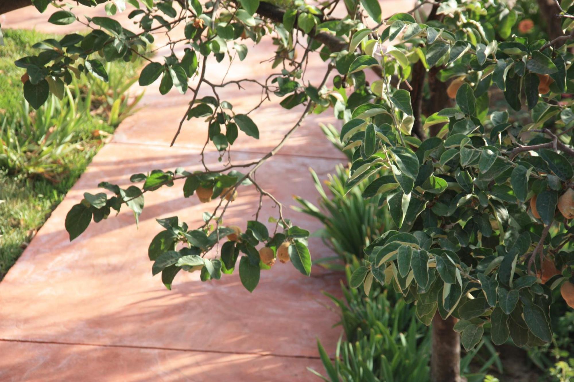 Villa Quince Ouirgane Exterior foto